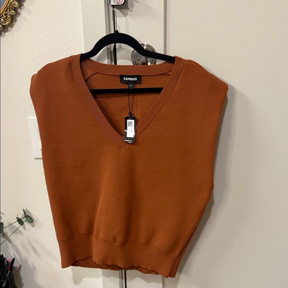 Express Women's Warm Brown V-Neck Sweatshirt